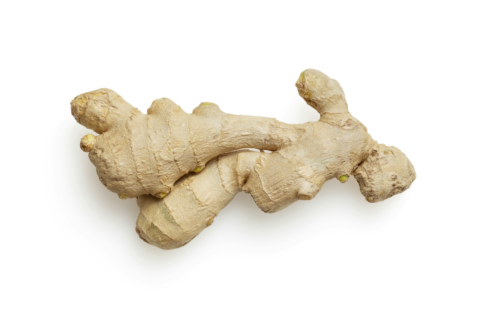 Gingembre bio